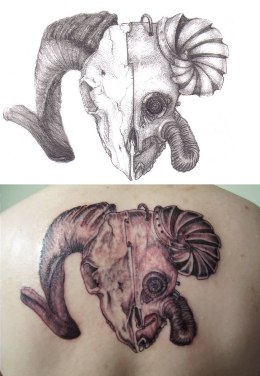 Zodiac Aries Ram Upper Back Tattoo | Tattoos for women, Tattoos for  daughters, Aries tattoo