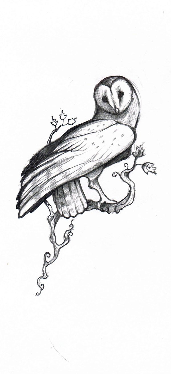 Site Suspended - This site has stepped out for a bit | Owl tattoo drawings,  Celtic owl tattoo design, Owl tattoo design
