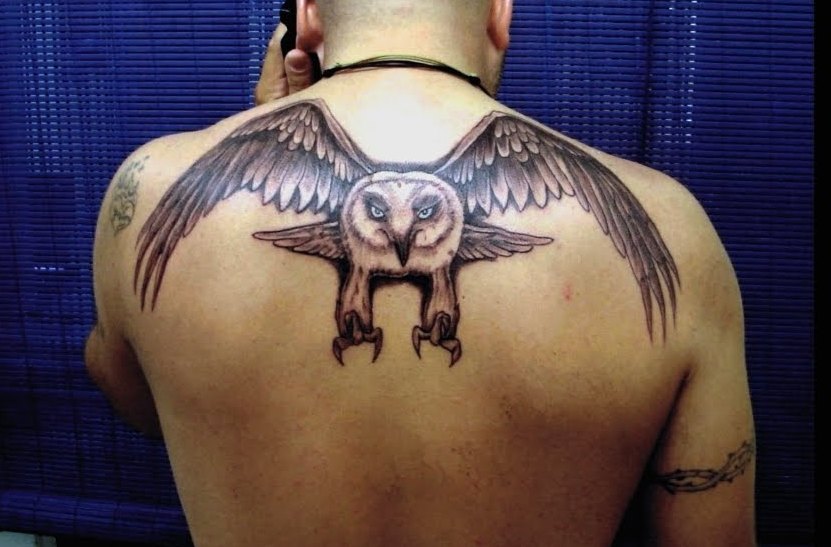RemisTattoo - Back piece owl tattoo work. 3 days in a row by tattoo artist  Tomas Raila This back piece tattoo is done at RemisTattoo Gallery Kaunas  #realism #realistictattoo #blackandwhitetattoo #backpiecetattoo #owltattoo #